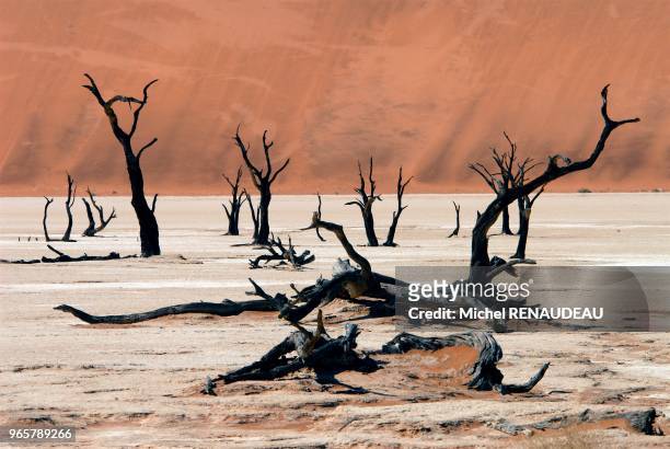 Sossulvley en namibie est une porte d'entrée pour aborder les grandes dunes rouge du désert du namib dont certaines s'élàvent à plus de 300m d'ou...