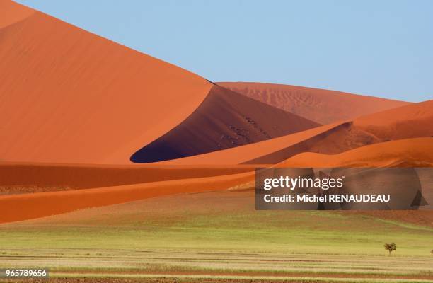 Sossulvley en namibie est une porte d'entrée pour aborder les grandes dunes rouge du désert du namib dont certaines s'élàvent à plus de 300m d'ou...