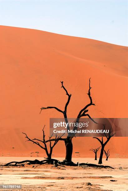 Sossulvley en namibie est une porte d'entrée pour aborder les grandes dunes rouge du désert du namib dont certaines s'élàvent à plus de 300m d'ou...