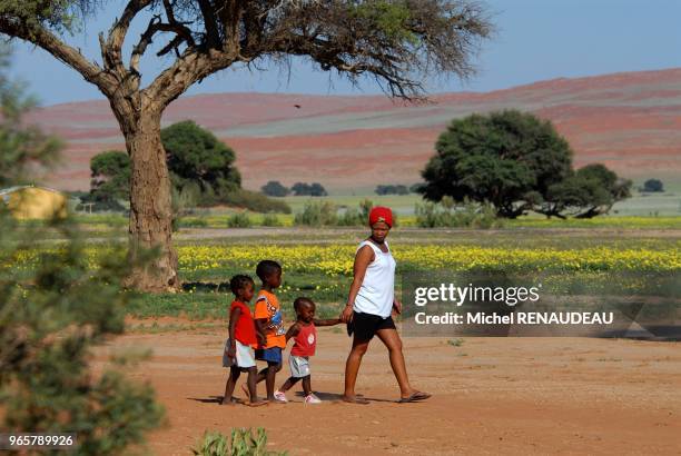 La Namibie situé dans le Sud Ouest Africain est un pays trés varié, où l'on trouve de grands espaces désertiques au sud ouest et sur la côte et au...