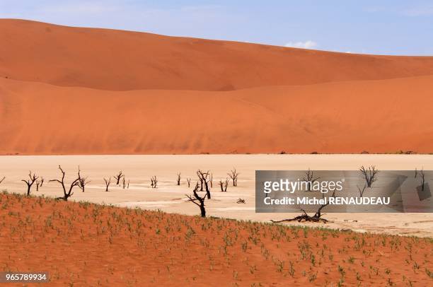 Sossulvley en namibie est une porte d'entrée pour aborder les grandes dunes rouge du désert du namib dont certaines s'élàvent à plus de 300m d'ou...
