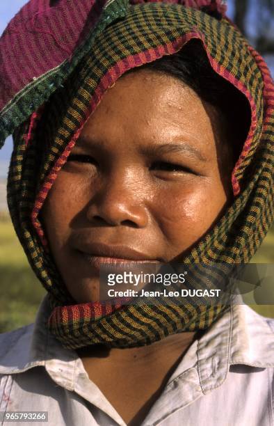 Femme dans les rizières, au moment de la moisson. Elle porte le krama, écharpe traditionnelle à carreaux, pour se protéger du soleil. Femme dans les...
