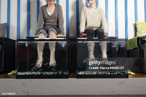 Two girls have their foot in aquarium to receive treatment done by Garra Rufa in a Fish spa.
