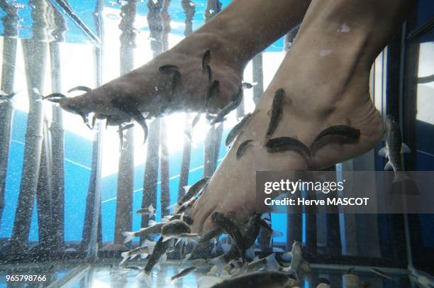 Picture of foot in aquarium to receive treatment done by Garra Rufa in a Fish spa.