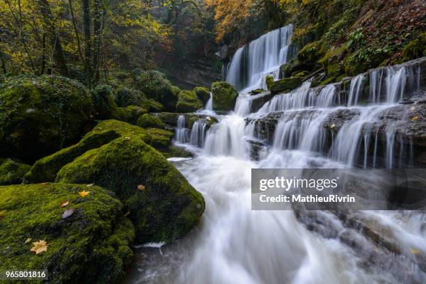 autumn, the most beautiful nature in franche comté - cascade france stockfoto's en -beelden