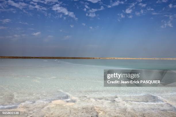 The water levels in the Dead Sea - the deepest point on Earth - are dropping at an alarming rate with serious environmental consequences. Its surface...