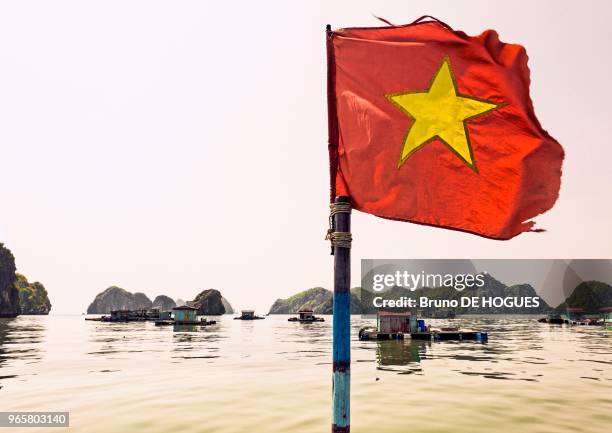 Drapeau national vietnamien et maisons flottantes dans la Baie de Ha Long, Vietnam.