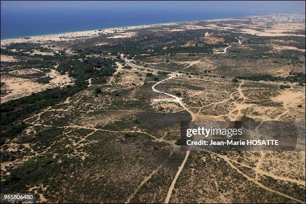 The national park of nitzanim dunes in the Negev, between Ashkelon and Ashdod. Formed some 1000 years ago, the dunes were entirely covered with sand...