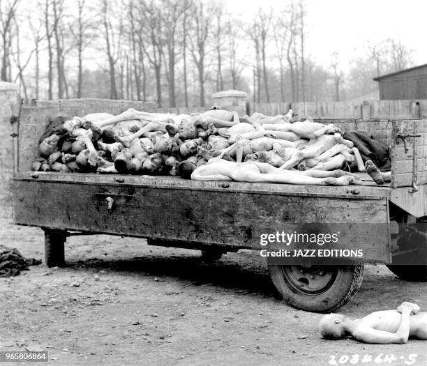 Truckload of bodies, in the Buchenwald concentration camp at Weimar, Germany. The bodies were about to be disposed of by burning when the camp was...
