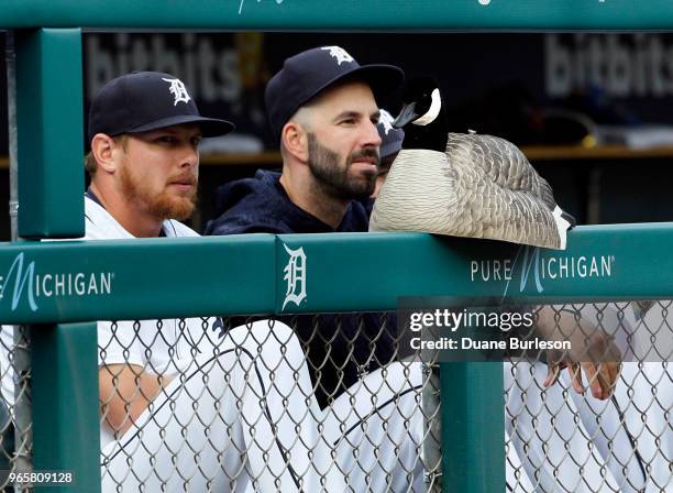 The "rally goose", a goose decoy, sits on the fence in front of John Hicks of the Detroit Tigers and Mike Fiers of the Detroit Tigers during the...