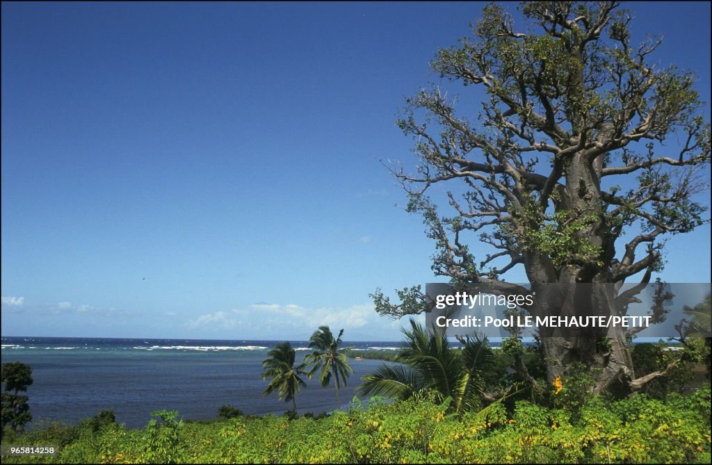 L'ILE DE LA GRANDE COMORE