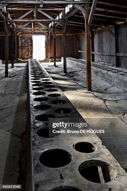 Les latrines des hommes dans le baraquement de quarantaine BIIa. Auschwitz II-Birkenau le 27 Août 2007 en Pologne.