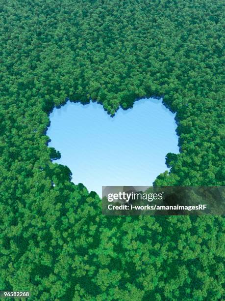 heart shaped lake in forest - top view forest stock illustrations