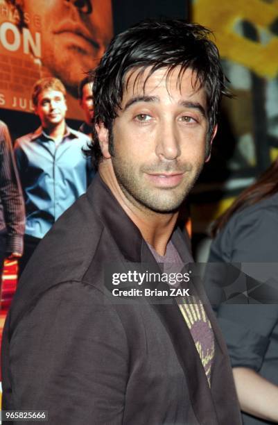 David Schwimmer at the premiere Of HBO's "Entourage" at Loews E-Walk Theater.