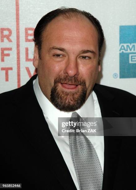 James Gandolfini arrives to the Premiere of "Lonely Hearts" as part of the 5th Annual Tribeca Film Festival held at TPAC, New York City BRIAN ZAK.