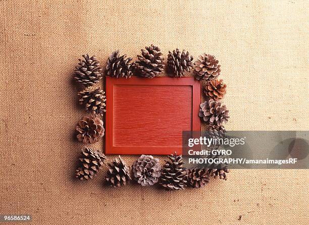 pine cones around a red piece of wood - red pine stock pictures, royalty-free photos & images