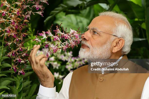 Indian Prime Minister Narendra Modi smells the orchid 'Dendrobium Narendra Modi', named after him during an orchid naming ceremony at the National...