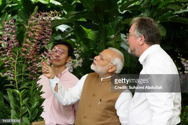 Indian Prime Minister Narendra Modi looks at the orchid ÔDendrobium Narendra ModiÕ, named after him as Group Director of Singapore Botanic Gardens,...