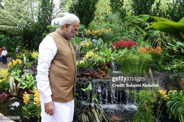 Indian Prime Minister Narendra Modi tours the orchid garden after the orchid naming ceremony at the National Orchid Gardens on June 2, 2018 in...