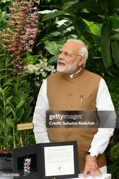Indian Prime Minister Narendra Modi looks at the orchid 'Dendrobium Narendra Modi', named after him during an orchid naming ceremony at the National...