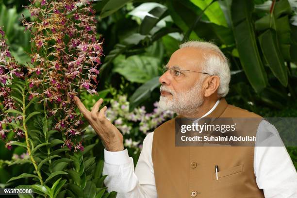 Indian Prime Minister Narendra Modi looks at the orchid 'Dendrobium Narendra Modi', named after him during an orchid naming ceremony at the National...
