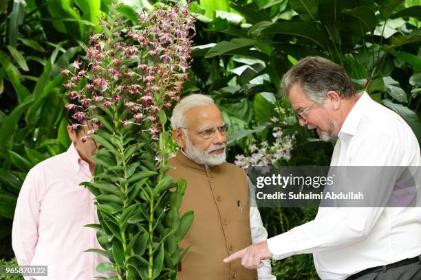 Group Director of Singapore Botanic Gardens, Dr Nigel Taylor shows Indian Prime Minister Narendra Modi , the orchid ÔDendrobium Narendra ModiÕ, named...