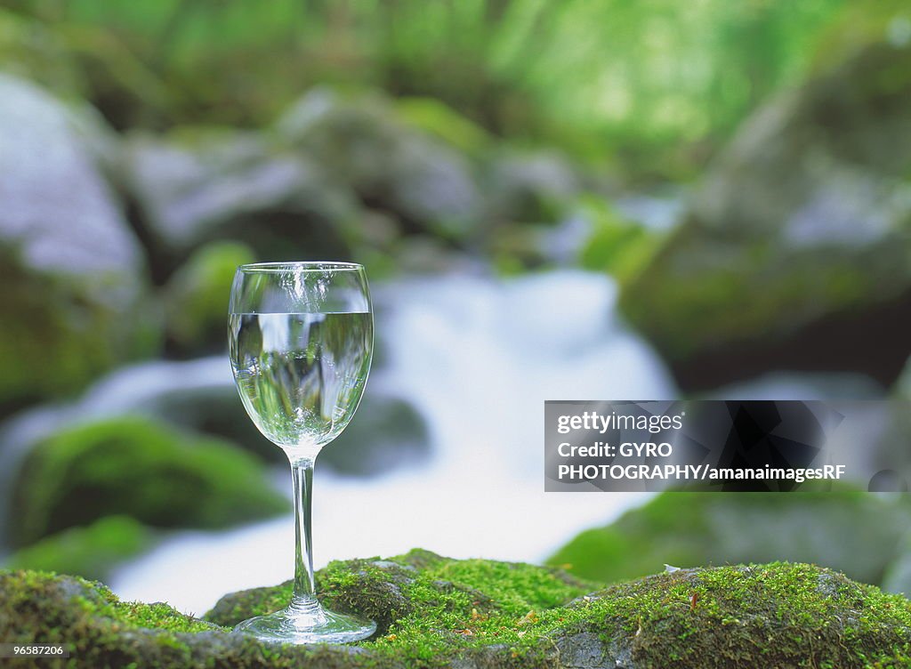 Glass of water next to a  river in a forest