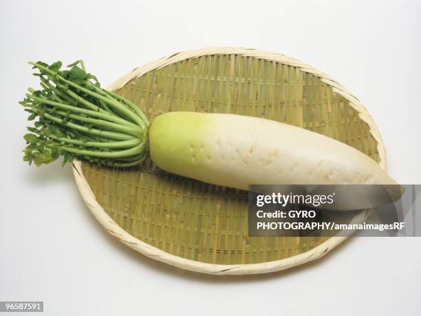 japanese radish - rábano grande japonés fotografías e imágenes de stock