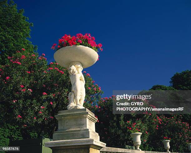 statue in palais du luxembourg, paris, france - palais du luxembourg stockfoto's en -beelden