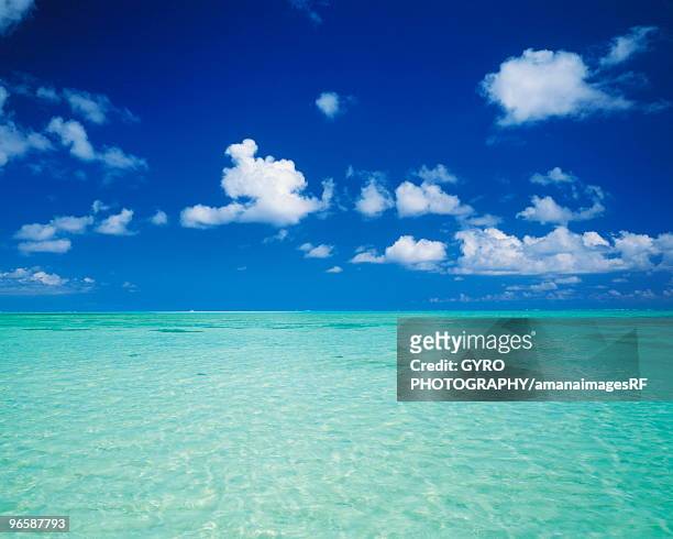 beautiful beach, yoron island, kagoshima prefecture, japan - kagoshima prefecture fotografías e imágenes de stock