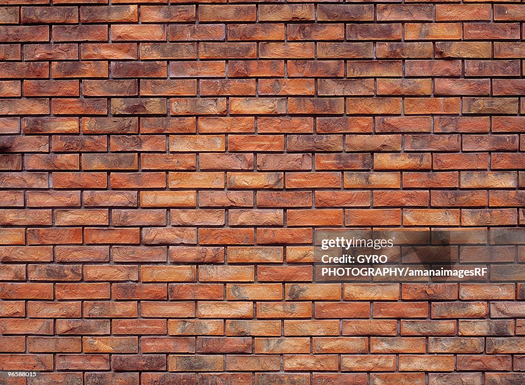 Full Frame of Bricks