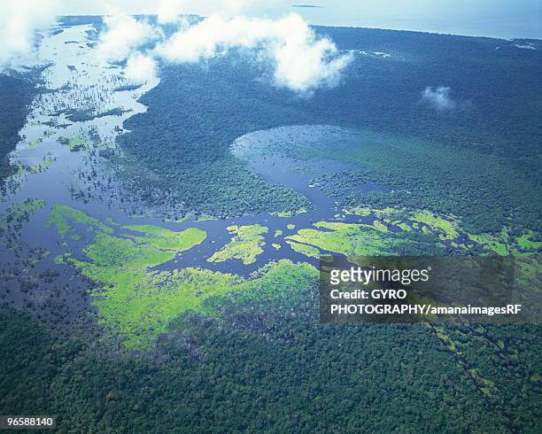aerial shot of amazon forest - amazon aerial ストックフォトと画像