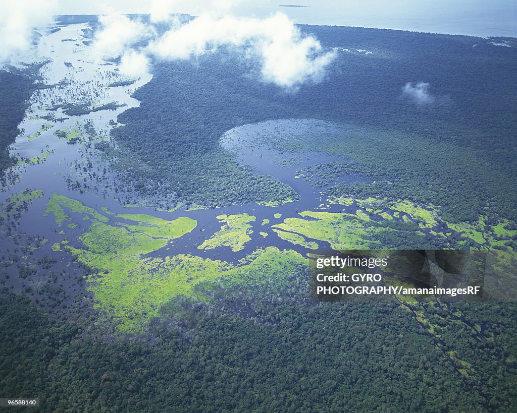 Aerial shot of Amazon forest