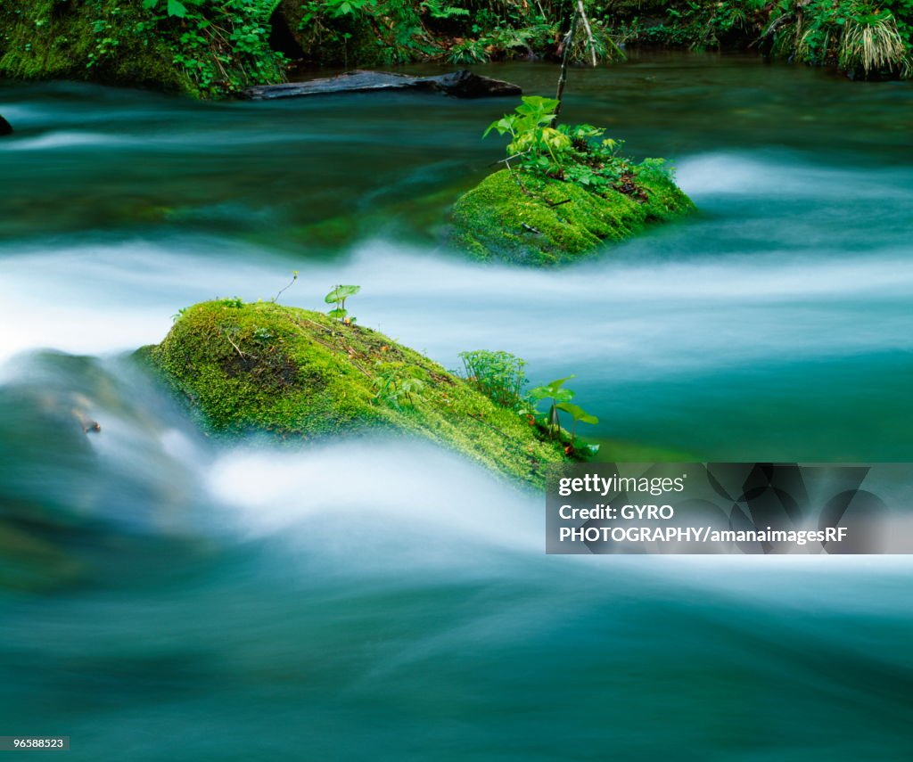 Oirase River, Towada, Aomori