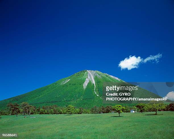 daisen, a volcanic mountain in tottori prefecture, japan - tottori prefecture - fotografias e filmes do acervo