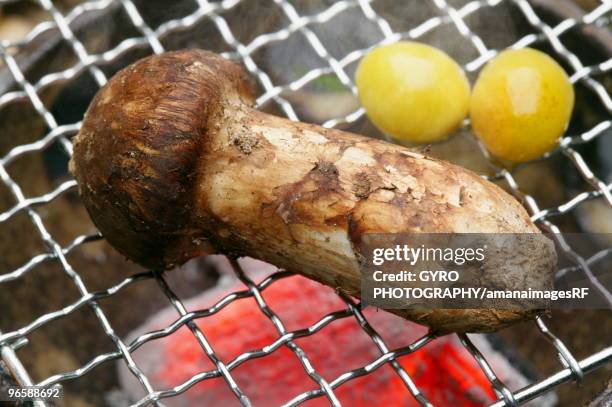 373 Matsutake Mushroom Stock Photos, High-Res Pictures, and Images
