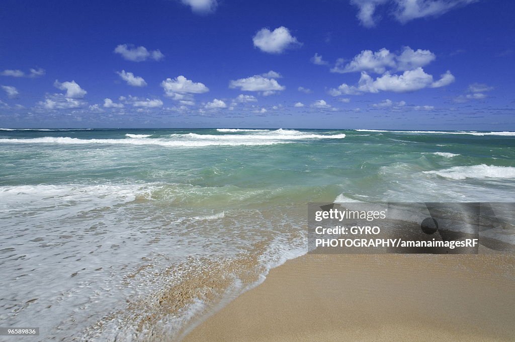 Beach in Oahu, Hawaii, USA