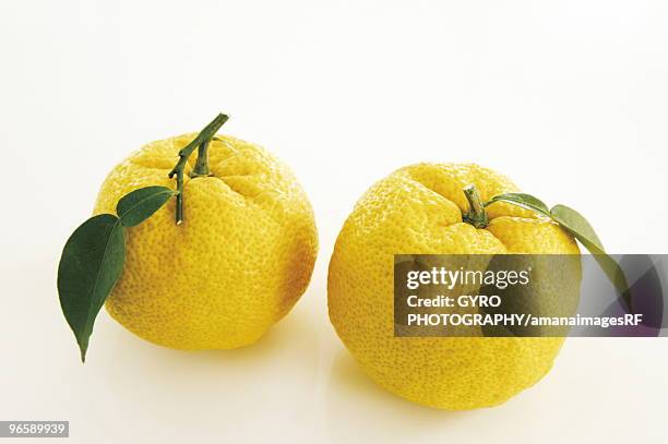 yuzu fruits - yuzu stock pictures, royalty-free photos & images