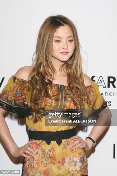 Sept 25, 2006 Devon Aoki at the 15th Annual amfAR Rocks Benefit at the Puck Building. Half length smile Frank Albertson.