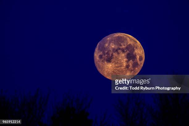 full moon setting in the pre dawn - bloomington illinois stock pictures, royalty-free photos & images
