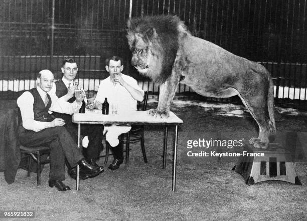 John S Clarke, ancien membre de la Chambre des Communes, deux dompteurs et un lion font un repas joyeux dans la cage aux lions, à Londres,...