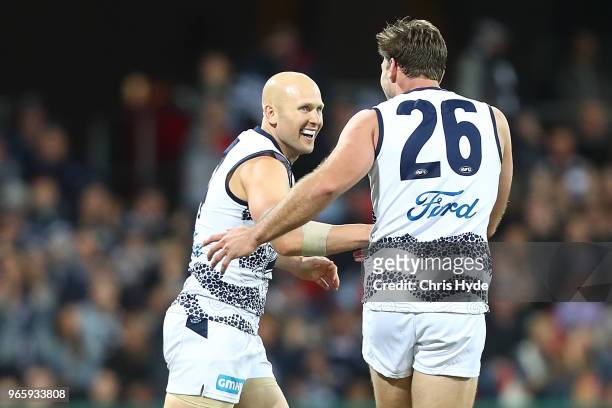 Gary Ablett of the Cats celebrates a goal during the round 11 AFL match between the Gold Coast Suns and the Geelong Cats at Metricon Stadium on June...