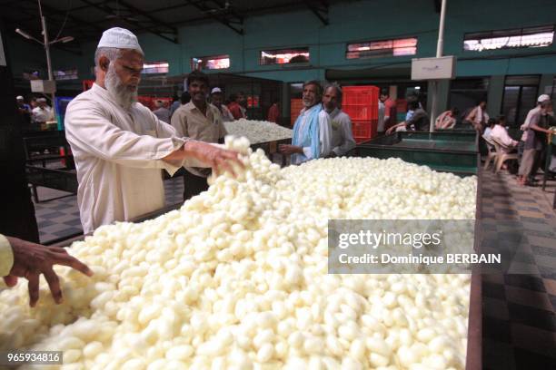 Marché de cocons de vers à soie, 24 décembre 2015, village de Ramanagara, Karnataka, Inde du Sud.