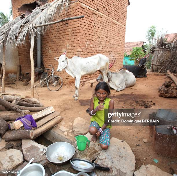 Fille indienne faisant la vaisselle dans la cour de la ferme avec son bétail.