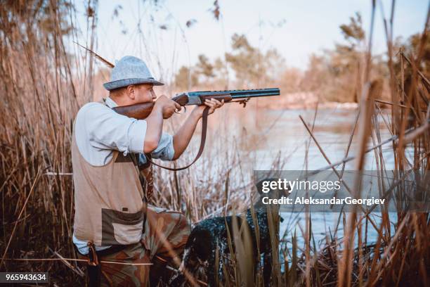 hunter aiming at bird prey ready to shoot - hobby bird of prey stock pictures, royalty-free photos & images