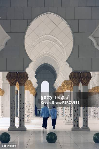 Asia;Persian Gulf;Middle East;United Arab Emirates;Abu Dhabi;Sheikh Zayed Bin Sultan Al Nahyan mosque.