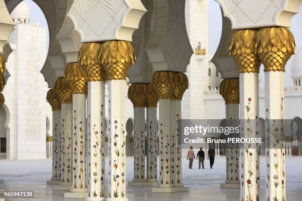 Asia;Persian Gulf;Middle East;United Arab Emirates;Abu Dhabi;Sheikh Zayed Bin Sultan Al Nahyan mosque.