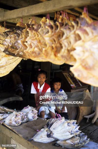 Le pays Toraja se situe au centre de Sulawesi . C est une region montagneuse dont les habitants, les Toradjas, ont conserve leurs traditions...