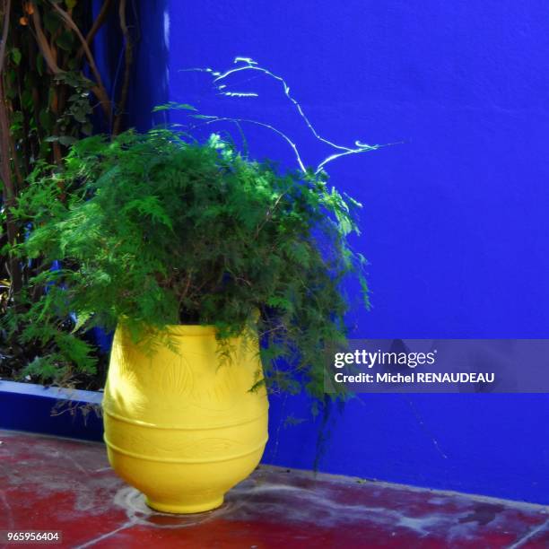 Le climat exceptionnel pendant les mois d'hiver a toujours attir? des gens riches ou c?l?bres venus du monde entier, Majorelle a peint Marrakech et...