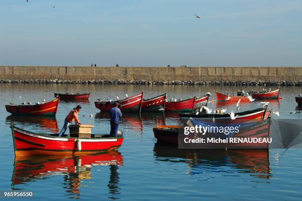 Au centre du Maroc sur les rives de l'Atantique,El Jadida jouit d'une position strategique. Cite au passe prestigieux, la Mythique Mazagan est...